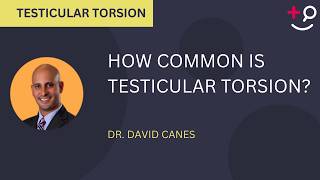 How Common Is Testicular Torsion?