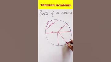 Parts of a circle🔵 #circle #mathshorts #shorts