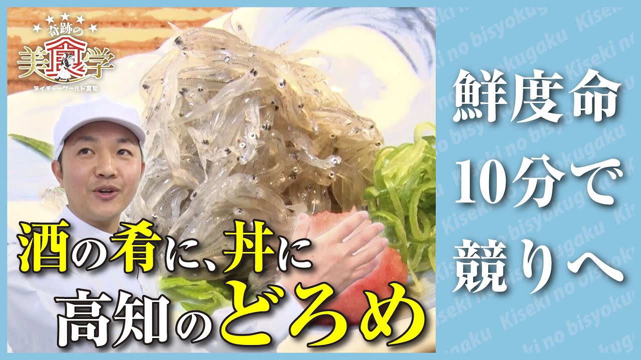 酒の肴に丼に！高知のどろめは鮮度が命【奇跡の美食学】