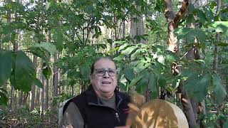 Big Foot and Project Indigenous