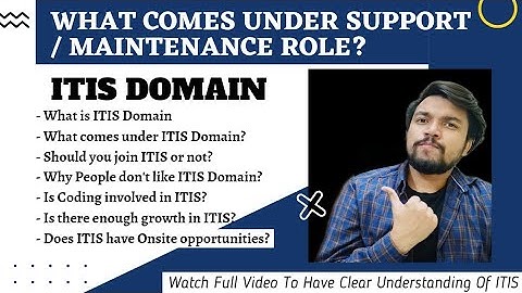 What Is ITIS/Support/Maintenance Roles In IT Industry & What Work People Do In CBO ITIS Domain
