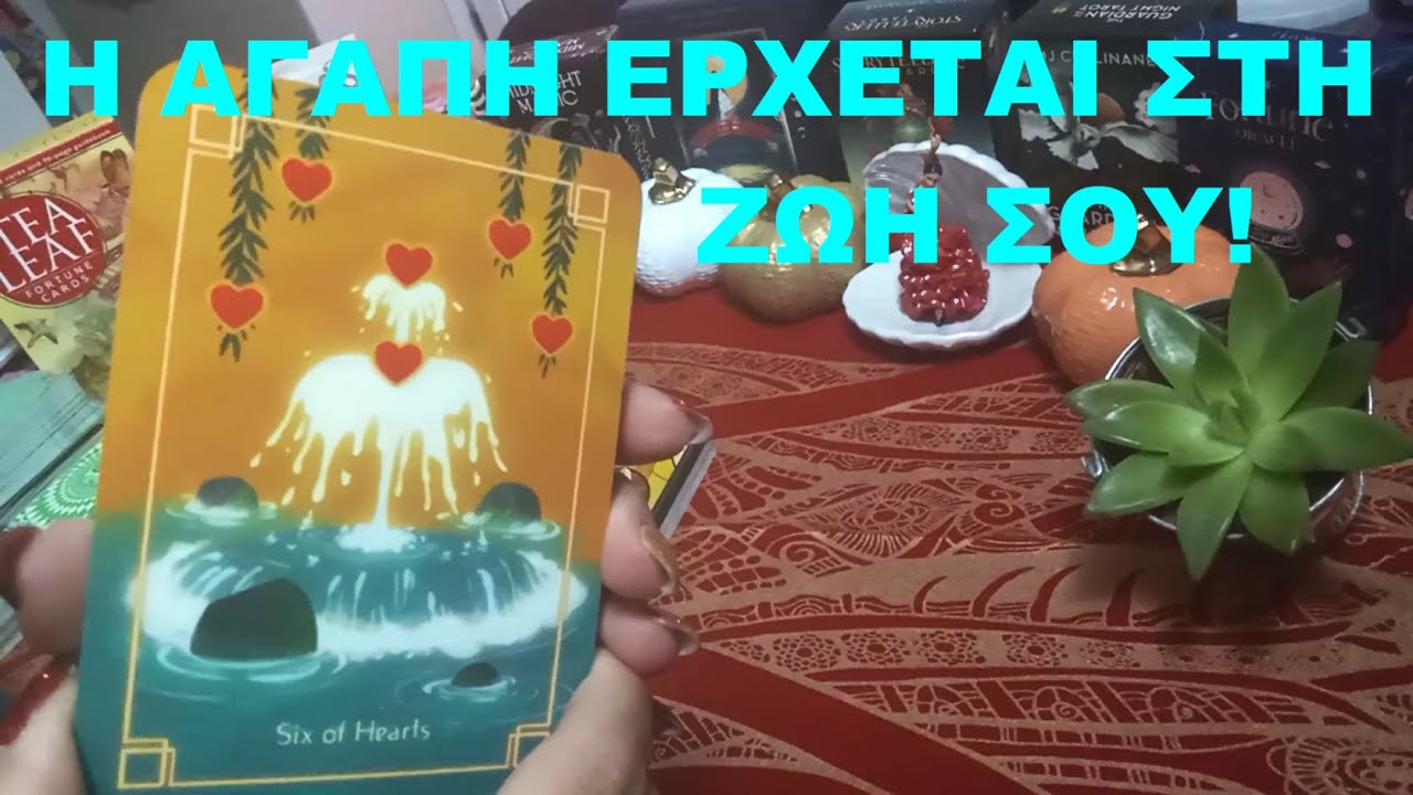🌿🌺Η ΑΓΑΠΗ 💞 ΕΡΧΕΤΑΙ ΣΤΗ ΖΩΗ ΣΟΥ! 🌺🌿#tarot 💜@evatarot1111💜 #tarotreading #timeless #timelessreading