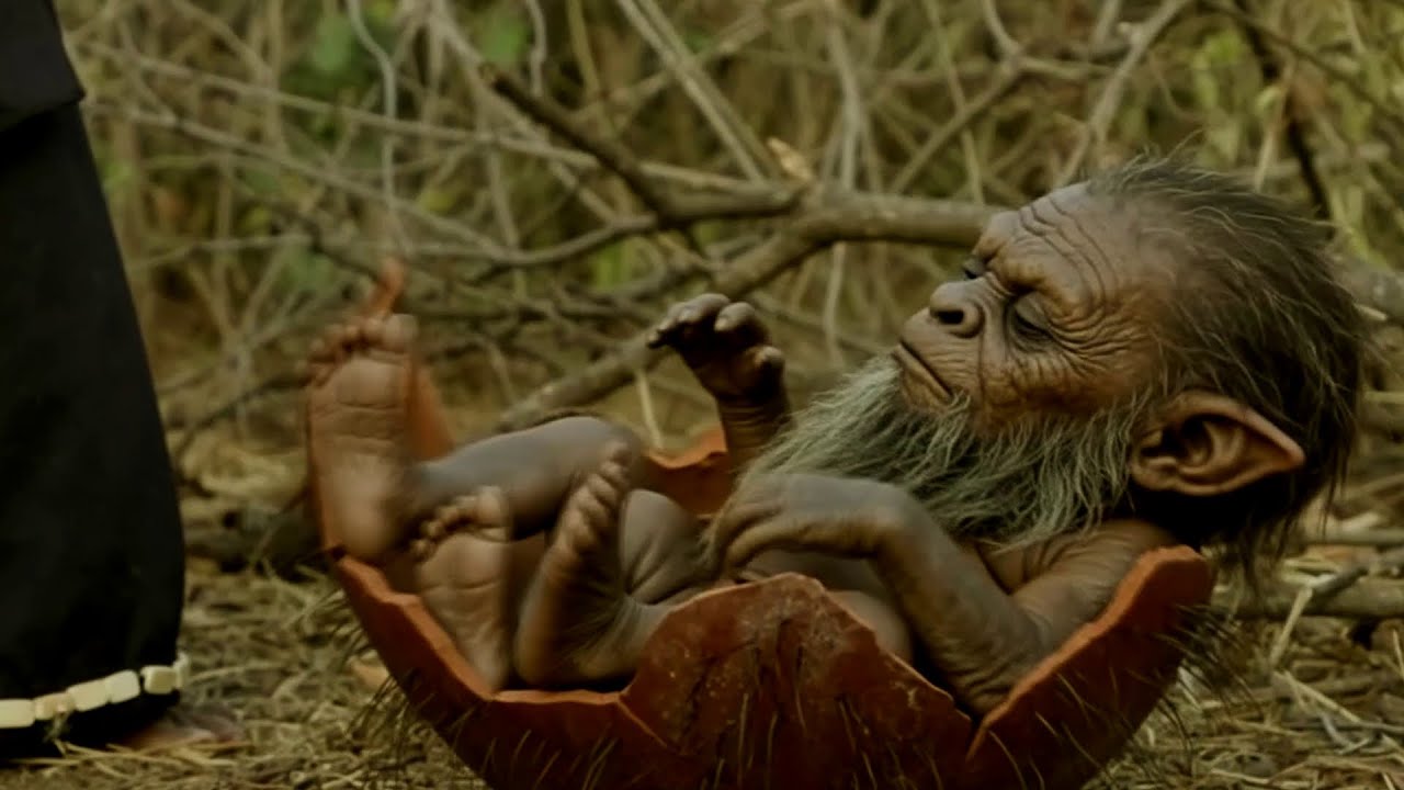 ROOTS OF THE ANCESTORS_EPISODE 15