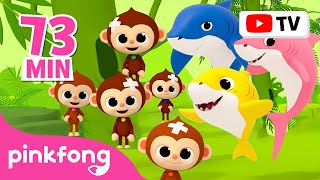 [TV for Kids] 🐒 BEST Monkey Banana Dance + Baby Shark! | Summer Outdoor Songs | Pinkfong for Kids
