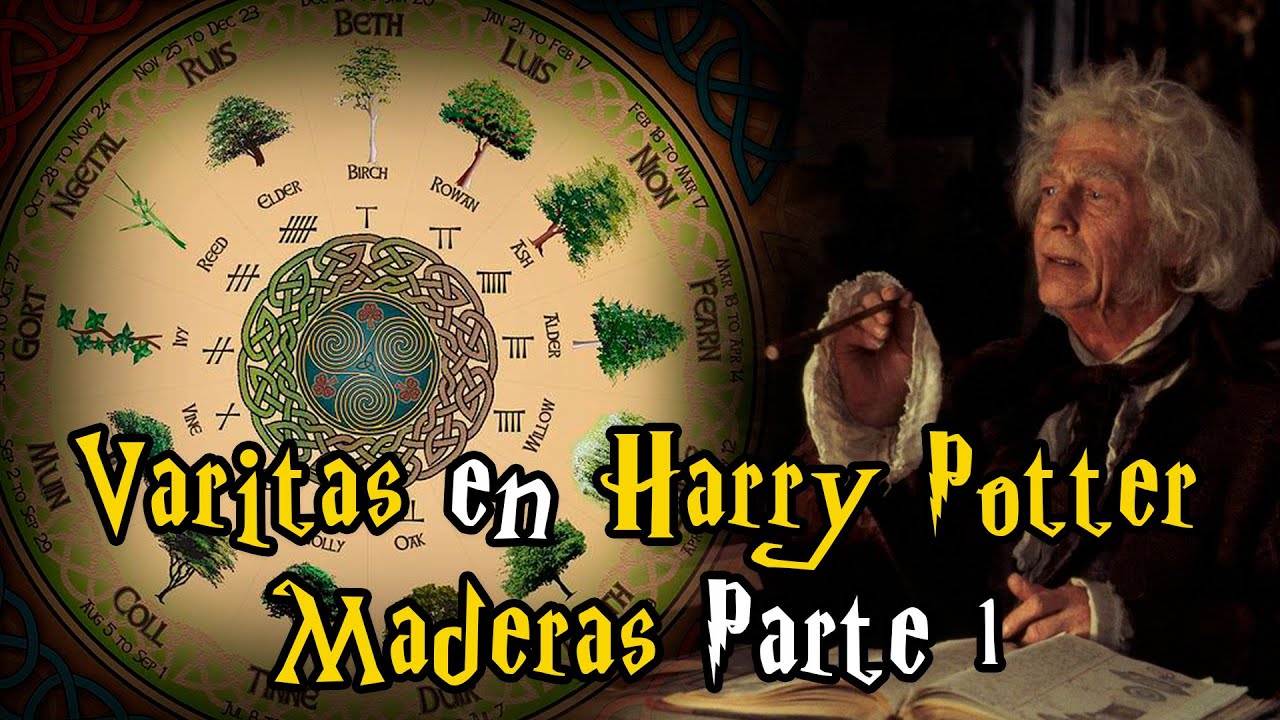 Las Varitas en el Mundo de Harry Potter | Maderas Parte 1