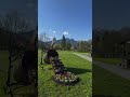 Chasing trails and Tatra tales #poland #zakopane #dolinachochołoska #travel #travelvlog #nature