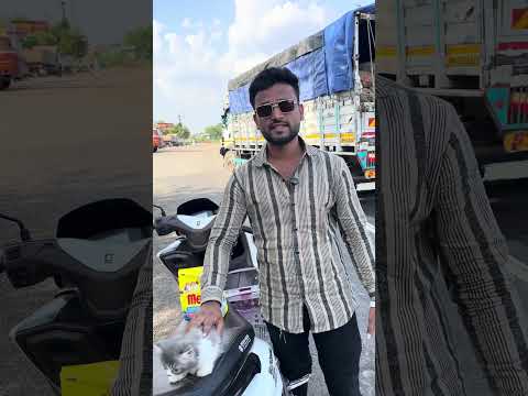 Solapur to Tuljapur New Hom  ￼ #trending #youtubeshorts #pets #persiancat #youtube #good