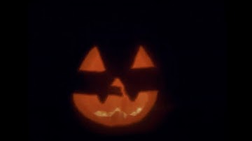 Sixteen Jackies - Creature Feature (Official Video)