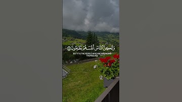 أفأنت تهدي العمي ولو كانوا لايبصرون|سورة يونس~الآية43~القارئ الشيخ#محمد_ديبيروف ~🎧🤍استخدمو الصوت❤️