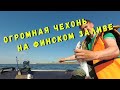 ЧЕХОНЬ на Финском заливе, как, где и чем ловить.