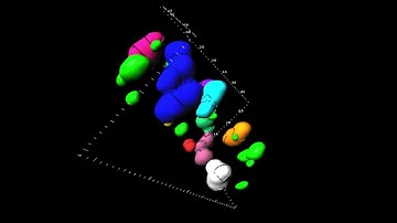 Visualization of translocons in Yersinia type III protein secretion machines during host cell