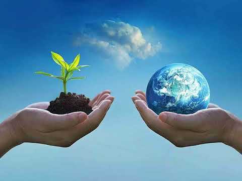 Environment 1 1 