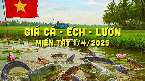 ✅ Giá Lươn Cá Ếch 1/4/2025 ↗️ Giá Cá Tra #ĐBSCL Cá Lóc, Điêu Hồng, Trê Vàng, Rô, Cá Chẽm & Cá Kèo