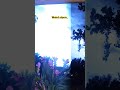 weird storm. #scenery #omg #sky #storm #florida #lightning #weirdweather #viral #interesting