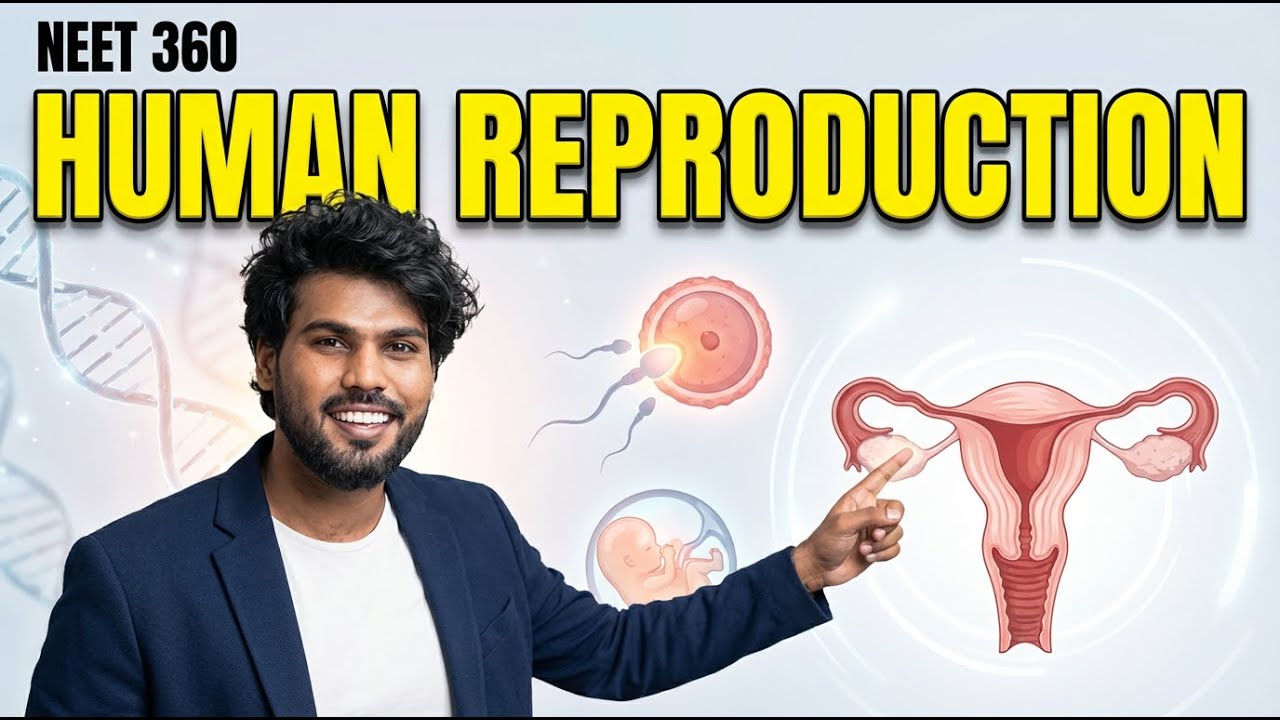 NEET 360 - Human Reproduction Part- 2 - YouTube