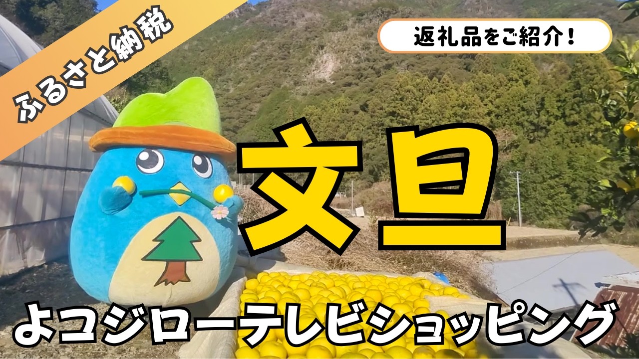 【ふるさと納税】よコジローテレビショッピング【文旦・ぶんたん】