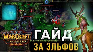 Гайд За ЭЛЬФОВ для НОВИЧКОВ - WarCraft 3:Reforged - Как играть за НОЧНЫХ ЭЛЬФОВ в ВАРКРАФТ 3