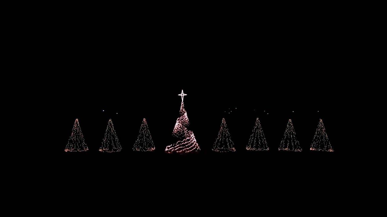 2013 Winter Wonderland The Dancing Christmas Trees Mineola, TX Light O Rama YouTube