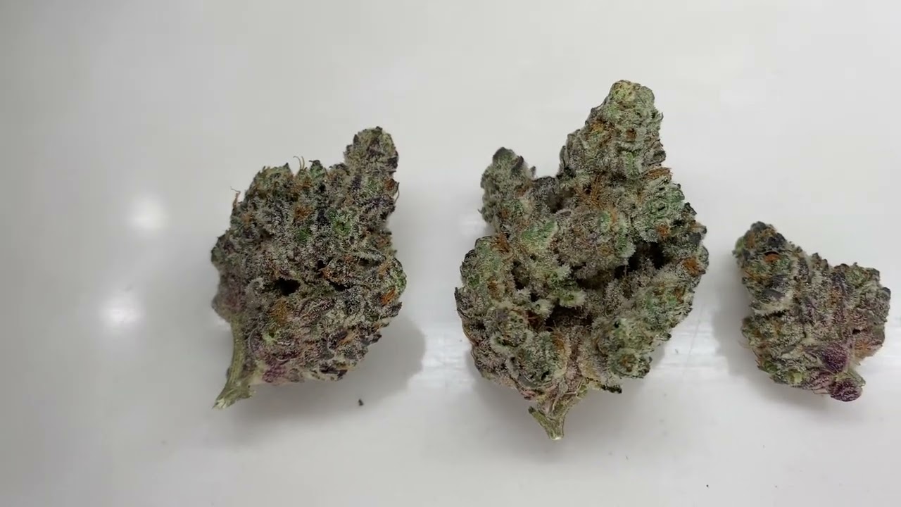 Cresco Sonata Review