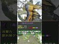 大アーティ時代に汎用性でくらいついた装備回避ワンコ【MHP2g】