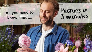 All you need to know about PEONIES in 3 minutes