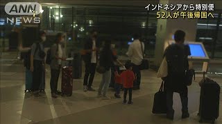 感染拡大インドネシアから特別便 日本人52人帰国へ 21年7月14日 Youtube