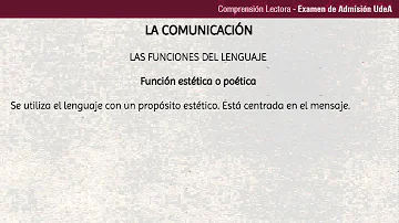 ¿Qué características tiene el lenguaje estético?