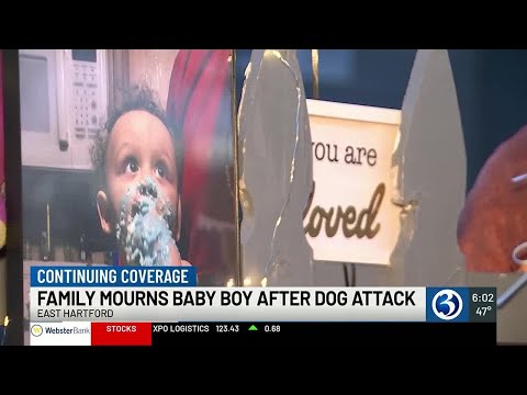 VIDEO: Family reels from loss of 1-year-old killed in dog attack