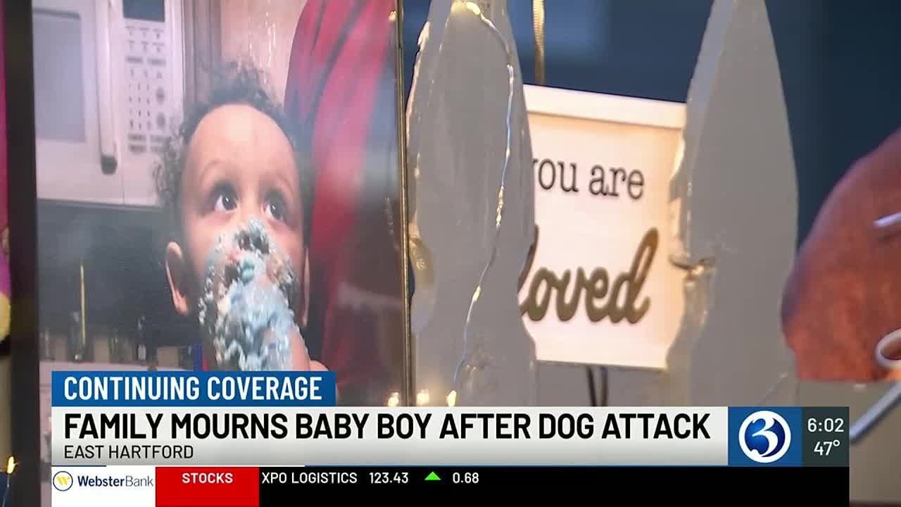 VIDEO: Family reels from loss of 1-year-old killed in dog attack - YouTube