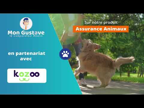 Kozoo intègre le comparateur Mon Gustave sur son panel animaux