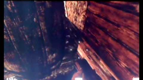 COD: WAW Shi No Numa - Dog Glitch