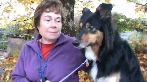 Anne Butler and Molly interviewed by Myrddyn Phill...