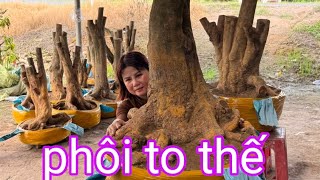 Download Lagu Gốc phôi 80h giá sinh viên ☎️Diễm 0835898900(23/8)@.com.vn MP3 Download Lagu Gốc phôi 80h giá sinh viên ☎️Diễm 0835898900(23/8)@.com.vn MP3