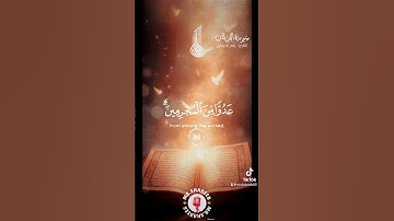 #viral #اكسبلور #دعاء #الرحمن #لايك #قرآن #قران_كريم #راحة_نفسية #تلاوة_خاشعة #الله #quran #fyp