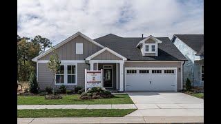 1737 Raven Falls Drive video tour