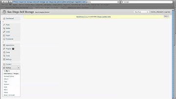 HOW TO MANAGE NextGen Gallery Wordpress