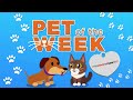 KCAS Pet of the week: Pike and Petey
