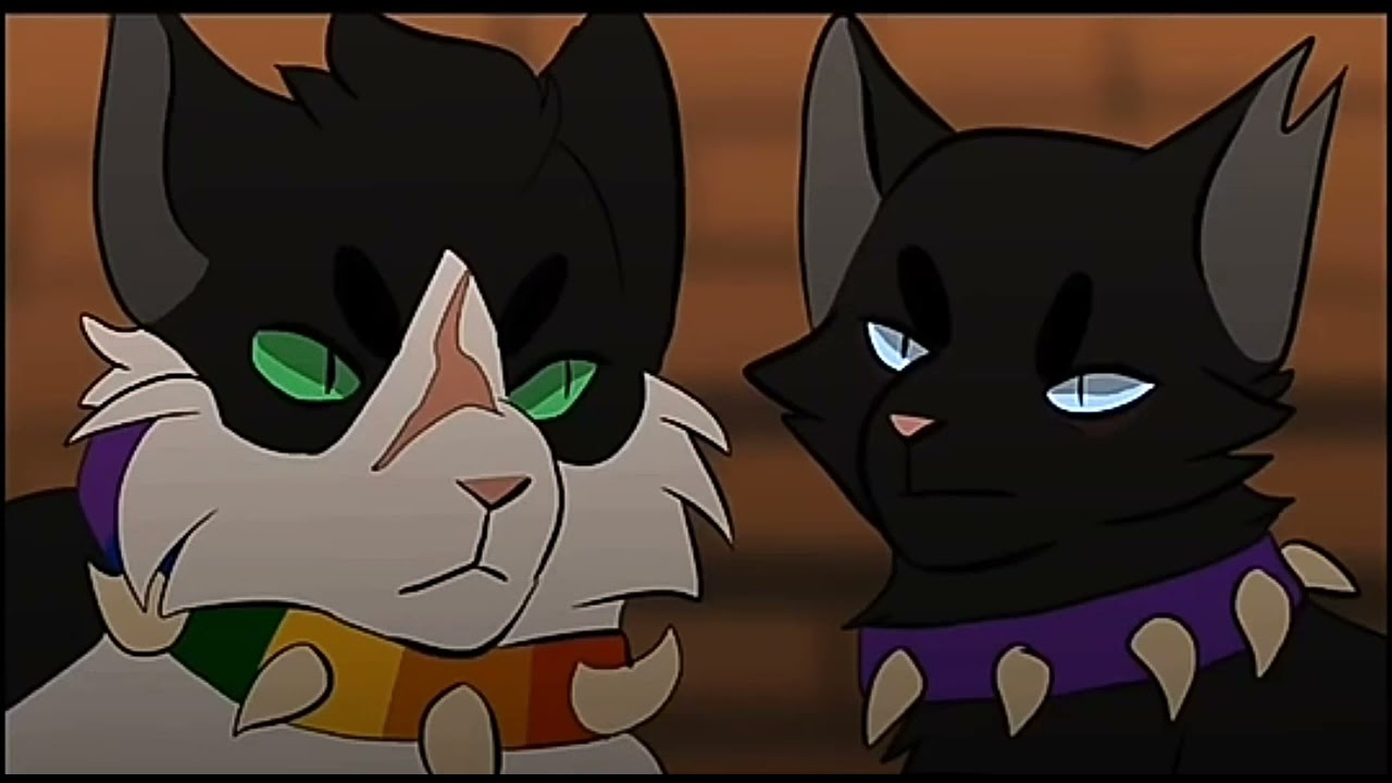Коты воители Бич клип - Смерть луны. - YouTube