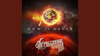 Aggression Net Worth