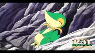 Snivy 21 Guns Instrumental Violin