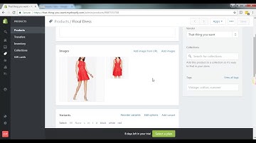 How to Videos for Shopify - Edit Existing Products - Charmaine