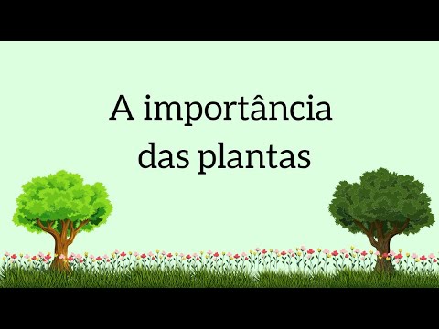 Vídeo: Quais são as plantas importantes?