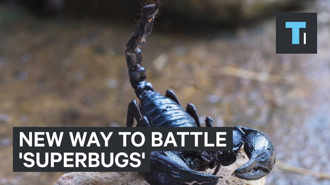 New way to battle 'Superbugs'