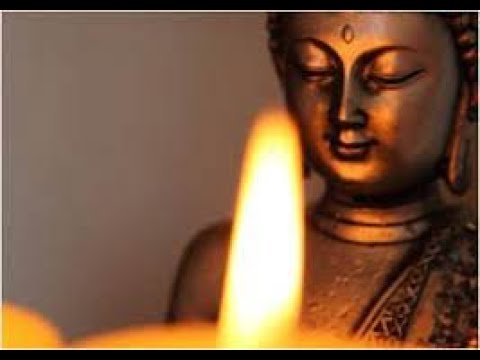 L Appel Au Lama De Loin Et Shiné