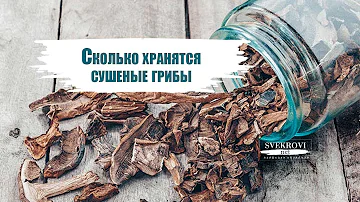 Как хранить сушеные грибы – 6 подробных инструкций
