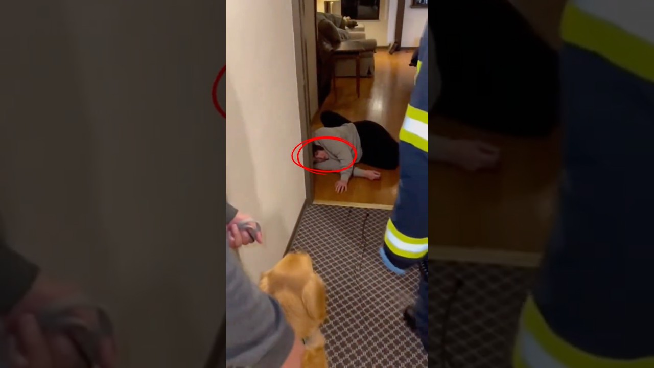 This Dog saved His owner in Elevator 😭