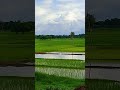 #nature #farming