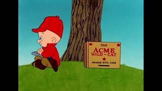 Acme Wildcat