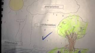Digital Labelling Activity - Water Cycle