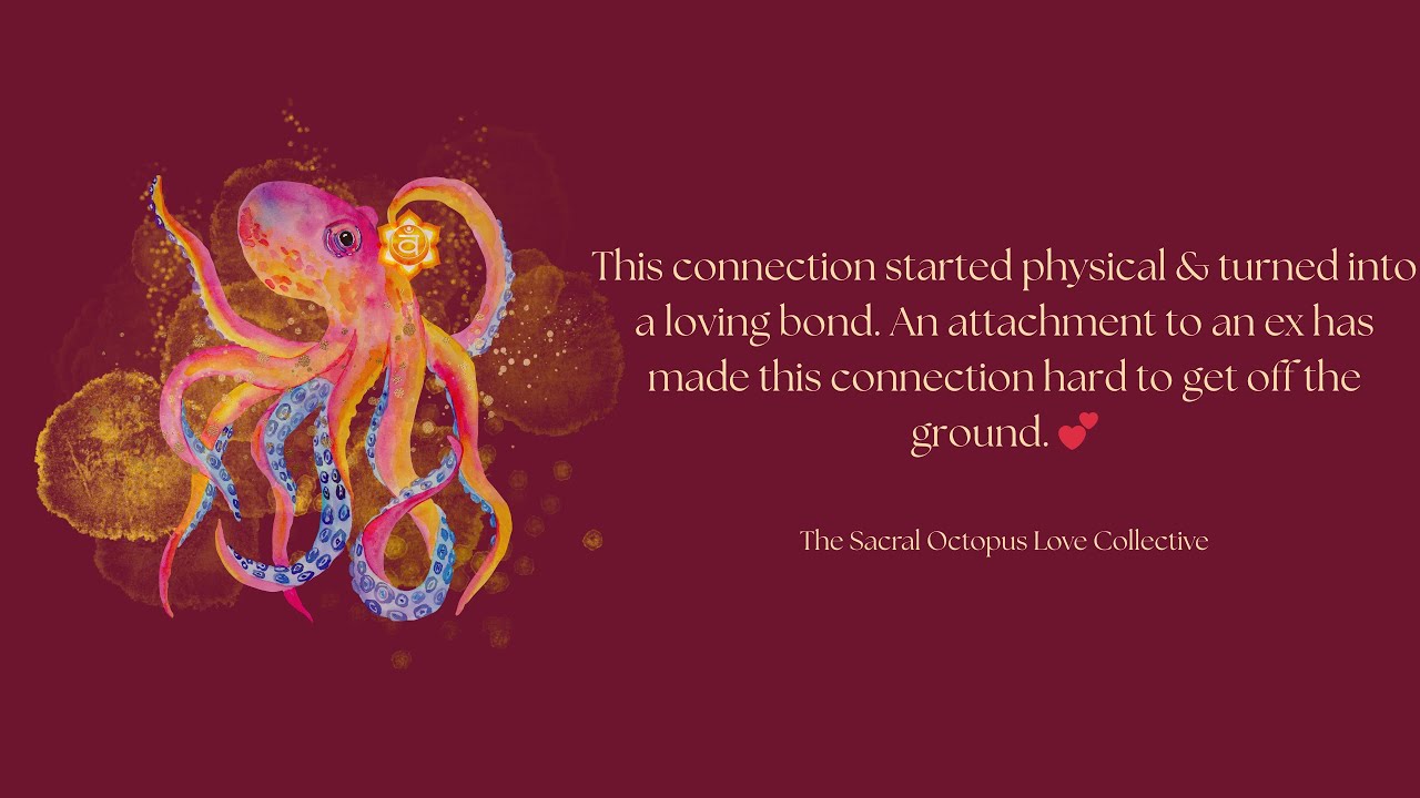 An attachment to an ex has made this connection hard to get off ground. Ego is being healed! 💫💜